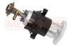 ERA 770079 Fuel Pump