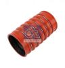DT 4.80815 (480815) Charger Intake Hose