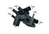 BEHR THERMOT-TRONIK TM4109 Thermostat, coolant