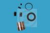 AUTOFREN SEINSA D41186C Repair Kit, brake caliper