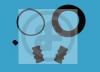 AUTOFREN SEINSA D4263 Repair Kit, brake caliper
