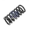 DT 4.70117 (470117) Valve Spring