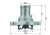 BEHR THERMOT-TRONIK TI12287D Thermostat, coolant
