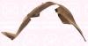 KLOKKERHOLM 0551387 Panelling, mudguard