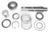 SIDEM 62187KIT Stub Axle Pins