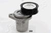 JAPANPARTS TS-308 (TS308) Tensioner Lever, v-ribbed belt