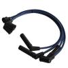 ASAM 30658 Ignition Cable Kit