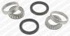 SNR R18302 Wheel Bearing Kit