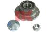 NK 762335 Wheel Bearing Kit
