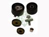 INA 530009209 Pulley Kit, timing belt