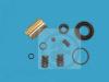 AUTOFREN SEINSA D41157C Repair Kit, brake caliper