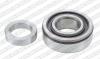 SNR R141.33 (R14133) Wheel Bearing Kit