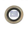 DT 3.10048 (310048) Seal Ring