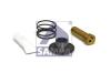 SAMPA 095.703 (095703) Repair Kit, brake caliper
