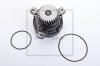 PE Automotive 140.200-00A (14020000A) Water Pump