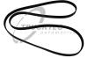 TRUCKTEC AUTOMOTIVE 02.19.232 (0219232) V-Ribbed Belts