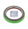 DT 5.30100 (530100) Shaft Seal, wheel hub