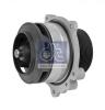 DT 5.41008 (541008) Water Pump