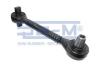 SEM LASTIK 10260 Track Control Arm