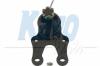 KAVO PARTS SBJ9030 Ball Joint
