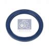 DT 4.20491 (420491) Shaft Seal, differential