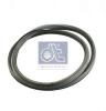 DT 4.80155 (480155) Trim/Protective Strip, door