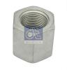 DT 6.11152 (611152) Spring Clamp Nut