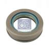 DT 5.50205 (550205) Replacement part