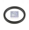 DT 5.40058 (540058) Shaft Seal, crankshaft