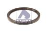 SAMPA 031.279 (031279) Shaft Seal, crankshaft