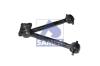 SAMPA 095.231 (095231) Track Control Arm