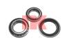 NK 752219 Wheel Bearing Kit