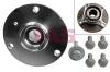 FAG 713661010 Wheel Bearing Kit