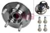 FAG 713697090 Wheel Bearing Kit