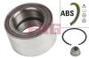 FAG 713645040 Wheel Bearing Kit