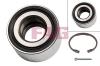 FAG 713617990 Wheel Bearing Kit