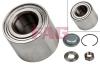 FAG 713650610 Wheel Bearing Kit