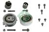 INA 530055009 Pulley Kit, timing belt