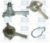 Saleri SIL PA932 Water Pump