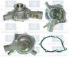 Saleri SIL PA967 Water Pump