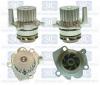 Saleri SIL PA1048A Water Pump