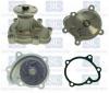Saleri SIL PA1509 Water Pump