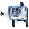 DIEDERICHS 1875089 Fog Light