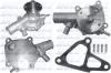 DOLZ T244 Water Pump