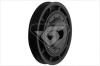 HUTCHINSON DP036 Belt Pulley, crankshaft