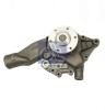 DT 3.16002 (316002) Water Pump