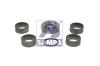 SAMPA 010.724 (010724) Repair Kit, kingpin