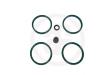 AUTOFREN SEINSA D4140 Repair Kit, brake caliper