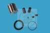 AUTOFREN SEINSA D41118C Repair Kit, brake caliper