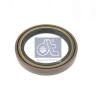 DT 3.60107 (360107) Shaft Seal, wheel hub